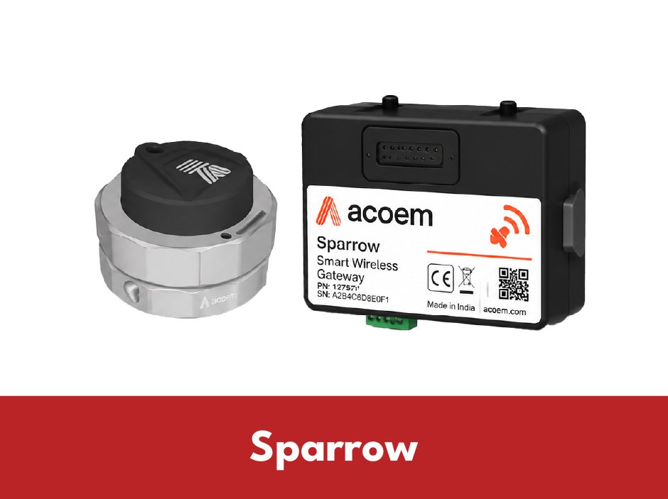 Sparrow