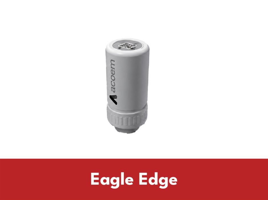 Eagle Edge