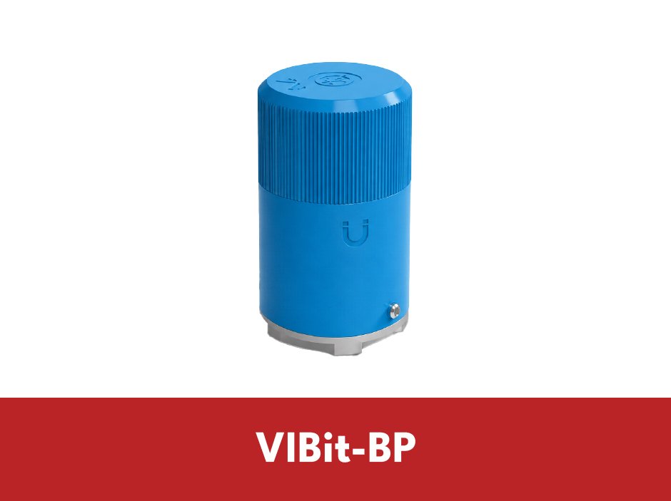 VIBit-BP